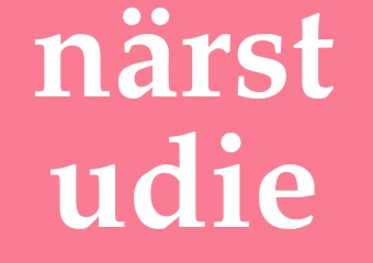 Synonym närstudie