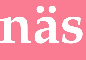 Synonym näs