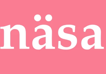 Synonym näsa