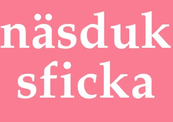 Synonym näsduksficka