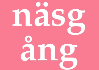 Synonym näsgång