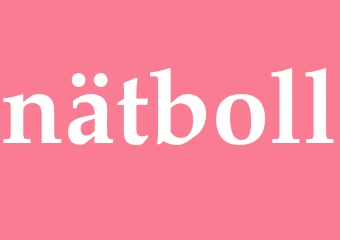 Synonym nätboll