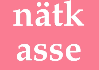 Synonym nätkasse