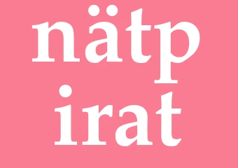 Synonym nätpirat