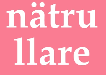 Synonym nätrullare