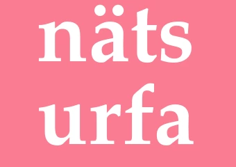 Synonym nätsurfa
