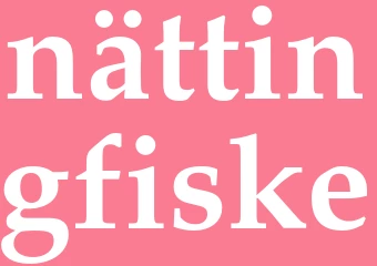 Synonym nättingfiske
