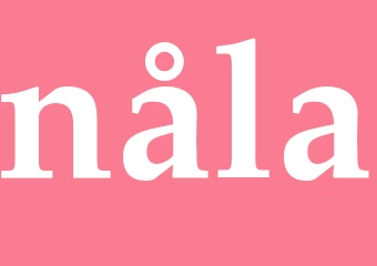 Synonym nåla