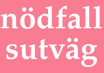 Synonym nödfallsutväg