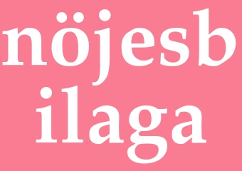 Synonym nöjesbilaga