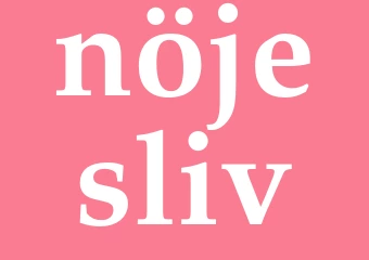 Synonym nöjesliv