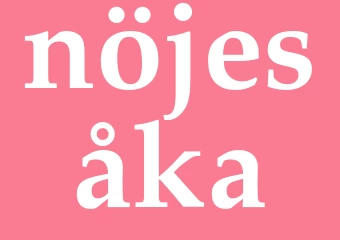Synonym nöjesåka