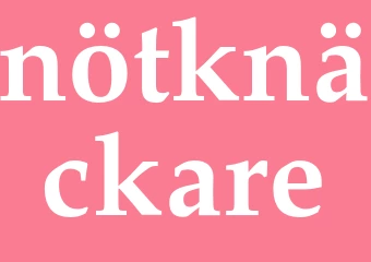 Synonym nötknäckare