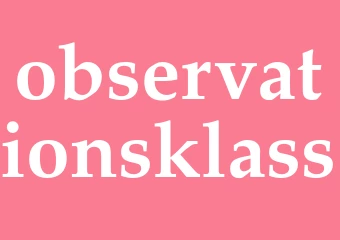 Synonym observationsklass