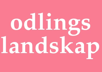 Synonym odlingslandskap