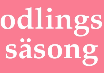 Synonym odlingssäsong
