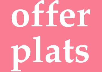Synonym offerplats