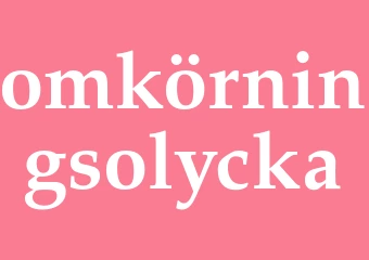 Synonym omkörningsolycka