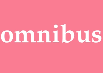 Synonym omnibus