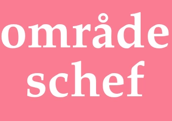 Synonym områdeschef