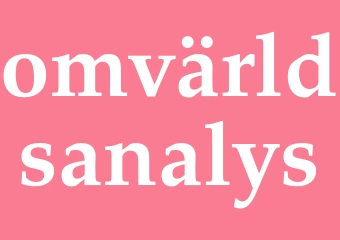 Synonym omvärldsanalys