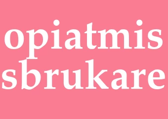 Synonym opiatmissbrukare