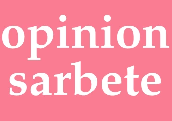 Synonym opinionsarbete