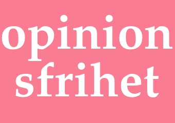 Synonym opinionsfrihet