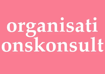 Synonym organisationskonsult