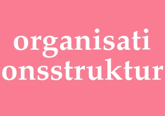 Synonym organisationsstruktur