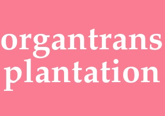 Synonym organtransplantation