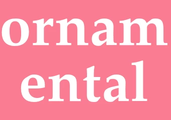 Synonym ornamental
