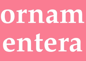 Synonym ornamentera