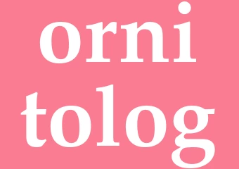 Synonym ornitolog