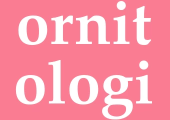 Synonym ornitologi