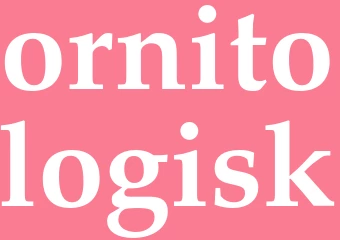 Synonym ornitologisk