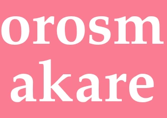 Synonym orosmakare