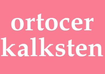 Synonym ortocerkalksten