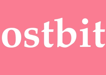 Synonym ostbit