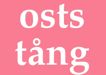 Synonym oststång
