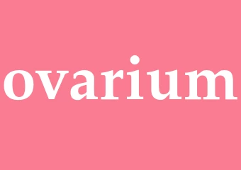 Synonym ovarium