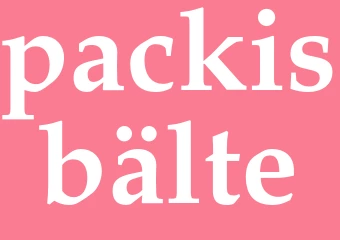 Synonym packisbälte