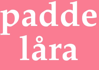 Synonym paddelåra