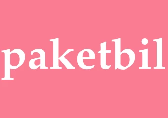 Synonym paketbil