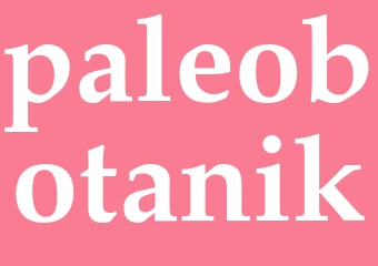 Synonym paleobotanik