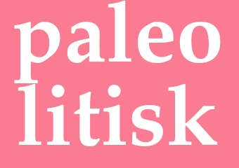 Synonym paleolitisk