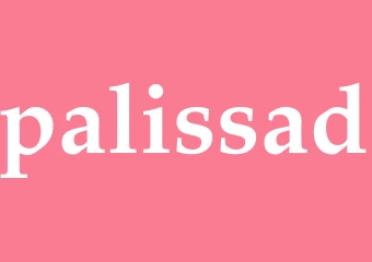 Synonym palissad