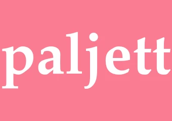 Synonym paljett
