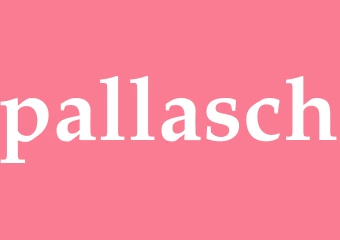 Synonym pallasch