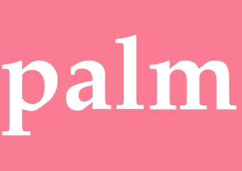 Synonym palm